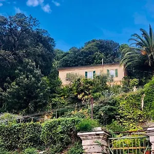 Caligo La Spezia